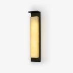 Doralisse Acrylic Outdoor Wall Lamp