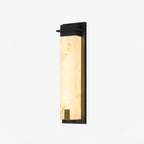 Doralisse Acrylic Outdoor Wall Lamp