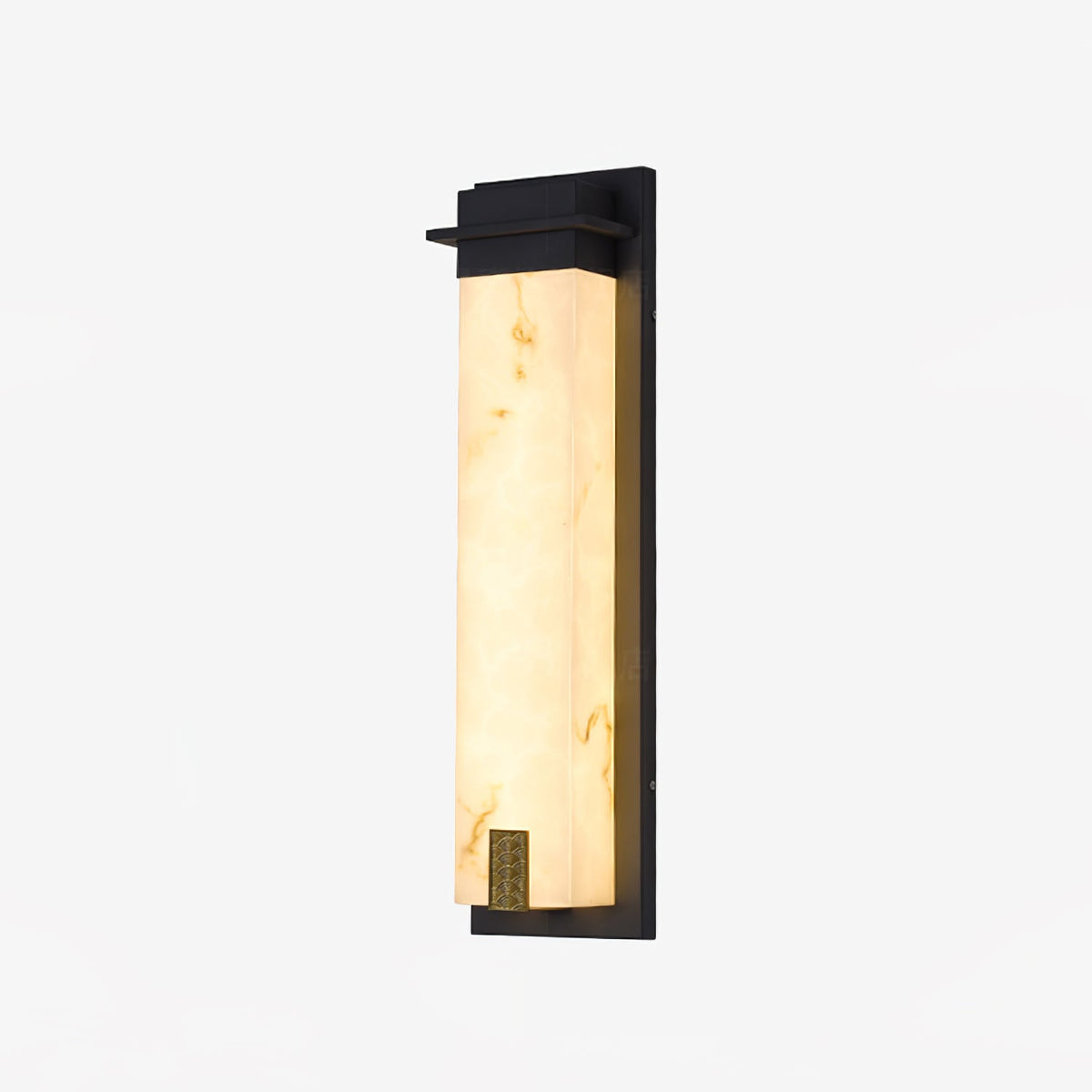 Doralisse Acrylic Outdoor Wall Lamp