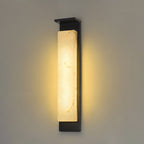 Doralisse Acrylic Outdoor Wall Lamp