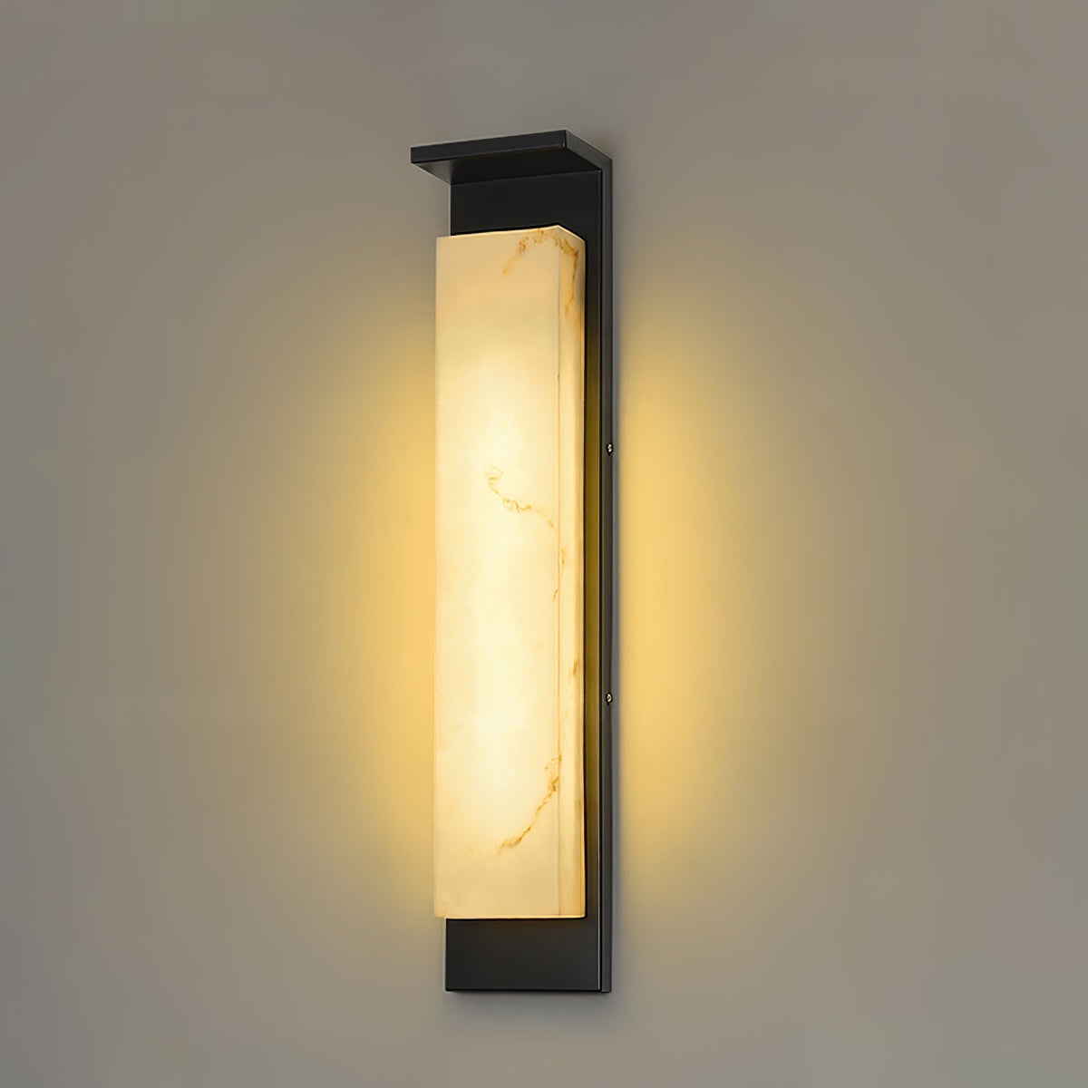 Doralisse Acrylic Outdoor Wall Lamp