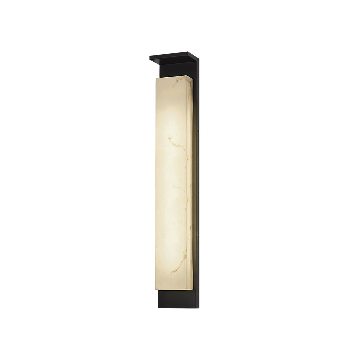 Doralisse Acrylic Outdoor Wall Lamp#Size_Model B W 6.3″x H 39.4″#Finish_Black & White
