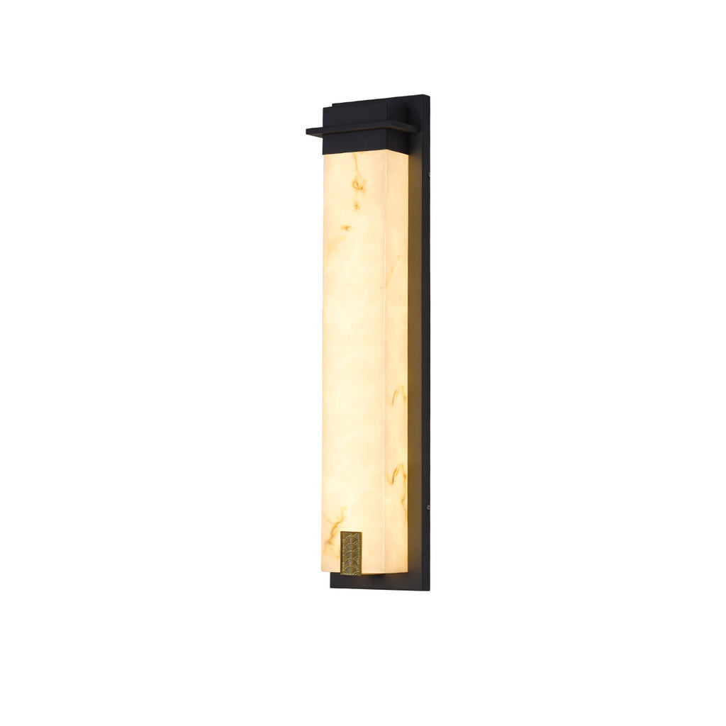 Doralisse Acrylic Outdoor Wall Lamp