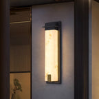Doralisse Acrylic Outdoor Wall Lamp