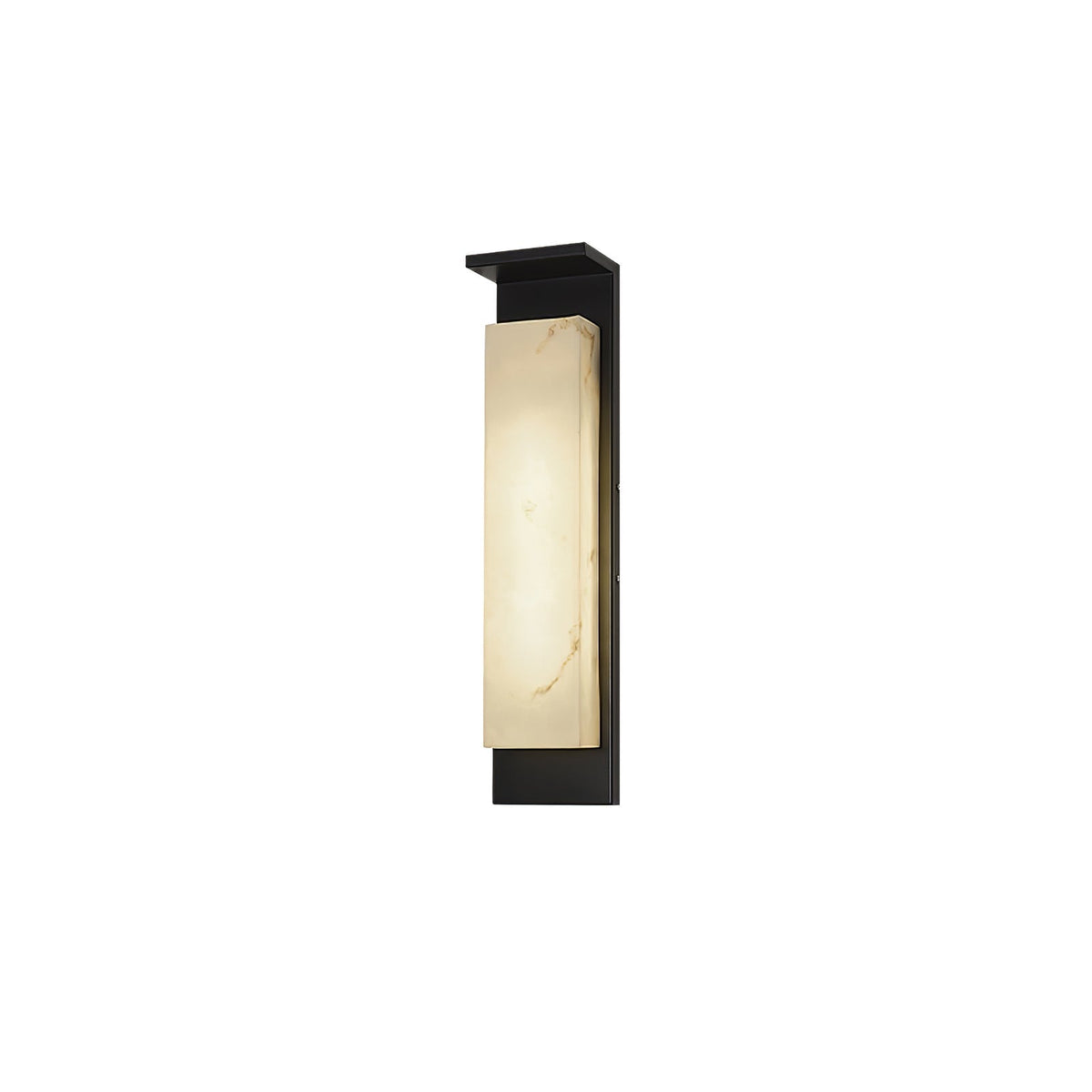 Doralisse Acrylic Outdoor Wall Lamp#Size_Model B W 6.3″x H 23.6″#Finish_Black & White
