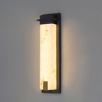 Doralisse Acrylic Outdoor Wall Lamp