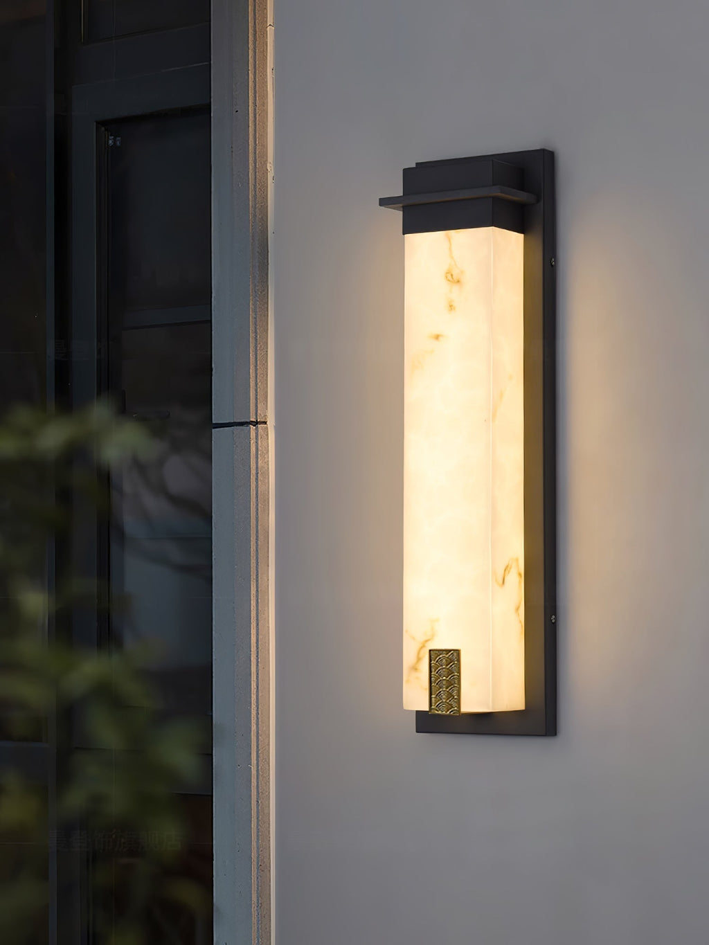 Doralisse Acrylic Outdoor Wall Lamp