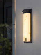 Doralisse Acrylic Outdoor Wall Lamp