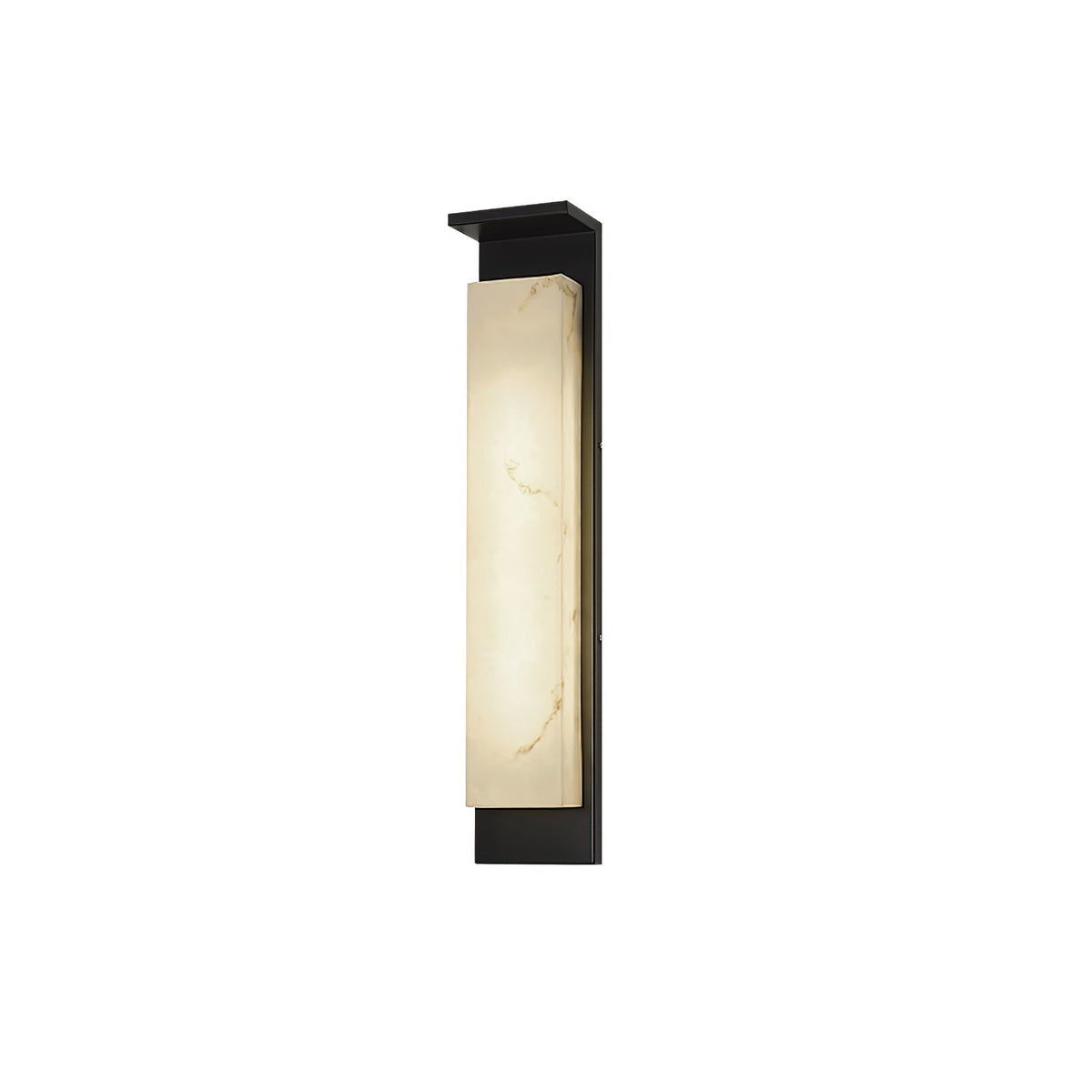 Doralisse Acrylic Outdoor Wall Lamp#Size_Model B W 6.3″x H 31.5″#Finish_Black & White