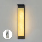 Doralisse Acrylic Outdoor Wall Lamp