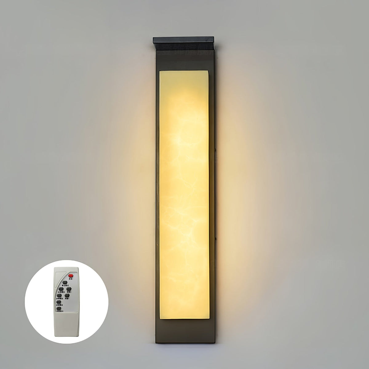 Doralisse Acrylic Outdoor Wall Lamp
