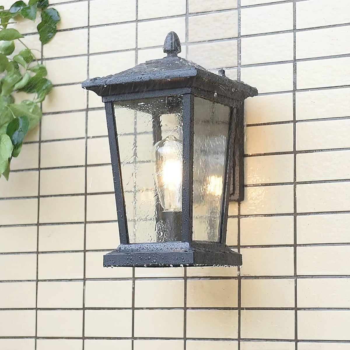 Junovaire Glass Cage Outdoor Wall Lamp